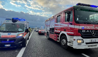 Varzo - Emergenza cervi in Ossola: quinto incidente in pochi giorni